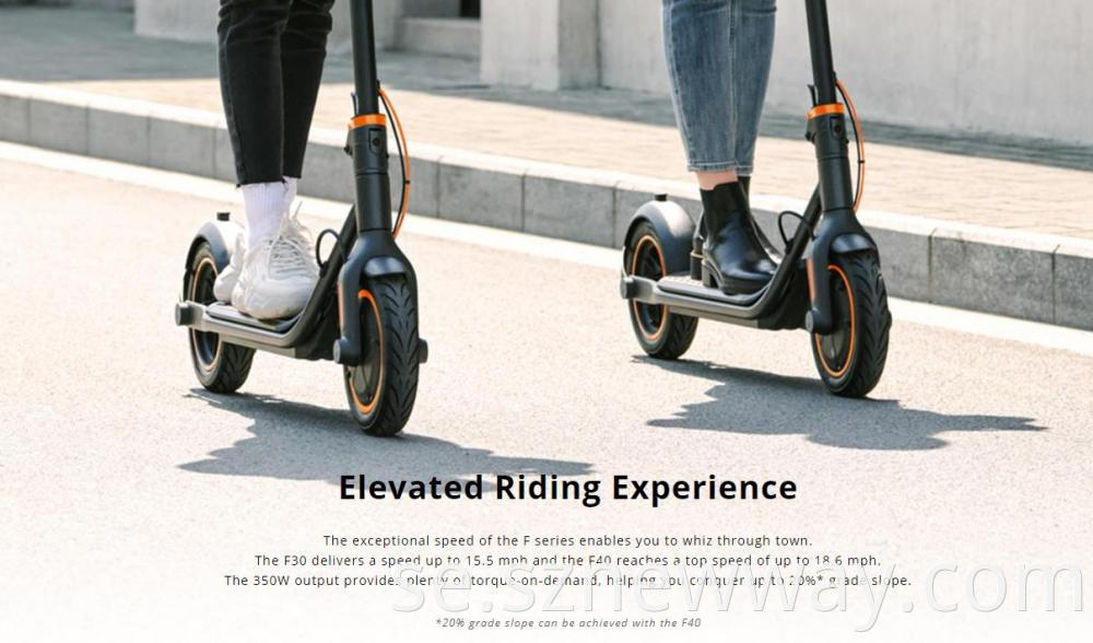 Ninebot Electric Scooter F30